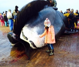 Whaling-Monica-Edwardsen-jpg