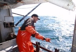 deckhand-halibut-longline-rb