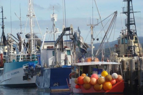 nsw fisheries reforms