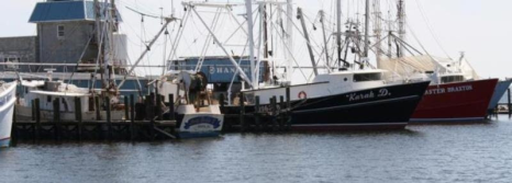 North Carolina Fisheries Association weekly update