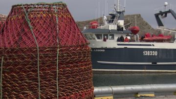 crab-pots-and-boat-in-port-de-grave-fishery-nets