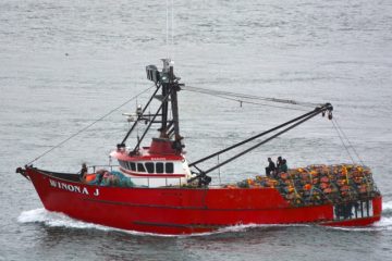 crab-season-winona-J-returning – fisherynation.com