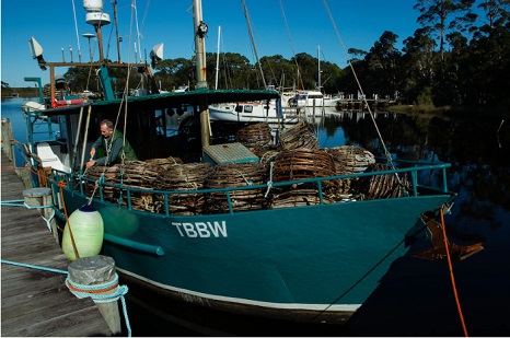Crayfisherman looks back on life and death at sea on Tasmania’s rugged west coast