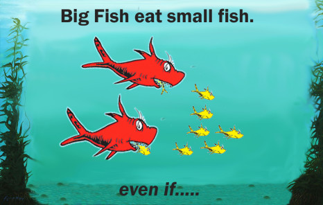 forage fish explained 1