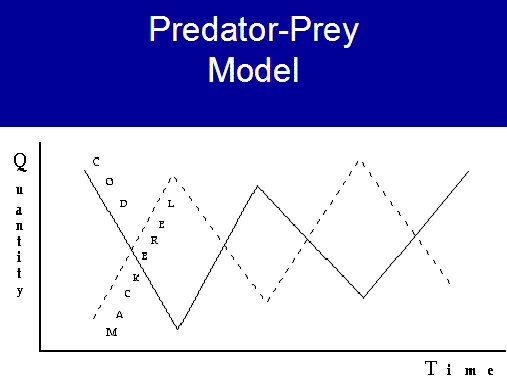 predator prey model