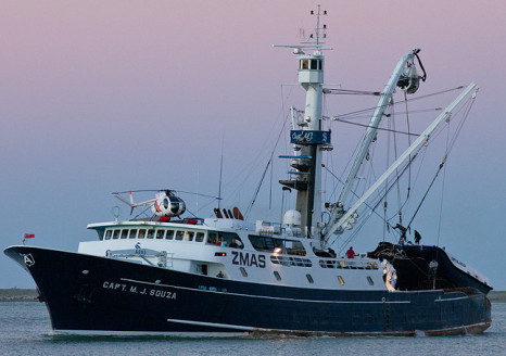 Fishing Groups Object to “Sustainable” Stamp on Menhaden Fishery - On The  Water