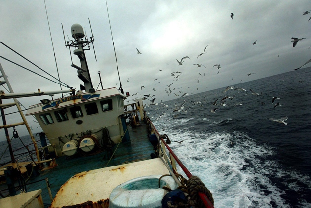 Trawling should be restricted below 600 metres, research suggests