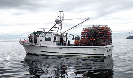 WDFW seizes nearly 700 illegal crab pots