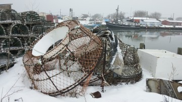 Crab traps wait on the wharf at Glace Bay