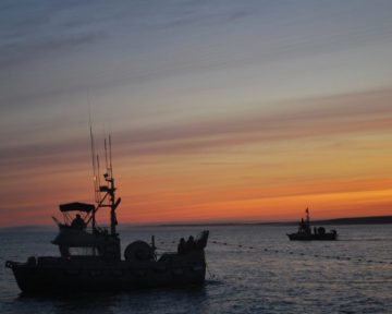 05salmon-fishing-sunset-in-egegik-fishery