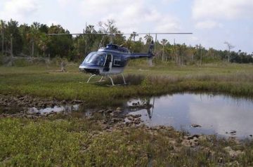 2014_0602_helicopter_spraying-500x330