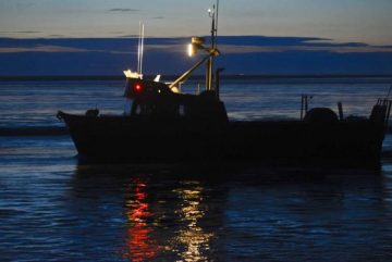 upper cook inlet fishing