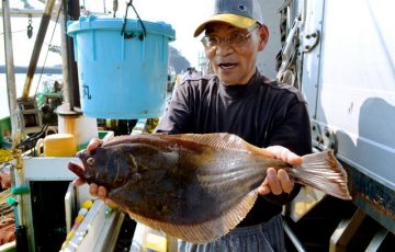 fukushima flounder test fishing