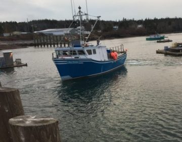 bay-of-fundy-lobster-boat