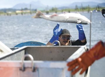 Columbia River Fishing  Bill would limit salmon gillnetters  Commercial fishermen would be limited to side bays, estuaries to protect wild runs