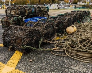 Ropeless Fishing Gear: Scottish tests of ‘whale-friendly’ fishing ...