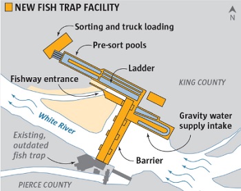 Corps of Engineers to complete New White River fish trap, the