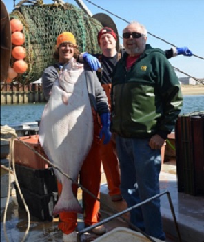 Hook & Tackle - One of the world's largest Halibut caught today. Over 7  feet long and 30 years old. The #fisherman jumping in the water beside it  for a picture before
