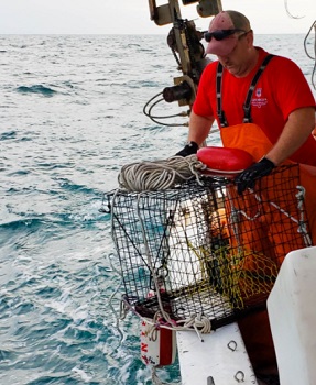 Ropeless fishing gear: Georgia researchers work with commercial fishermen  to test equipment –