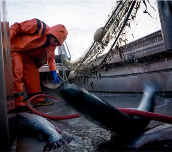 Alaskan Odyssey: Fishing Fleet Workwear