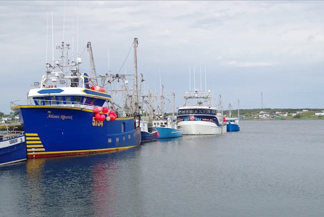 Another nail in the coffin of Newfoundland and Labrador’s fishing villages
