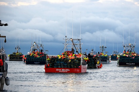 East Coast lobster harvest sustainable, according to non-profit’s criteria — but a Seafood Watch report advises consumers to avoid it