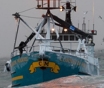 Introduction to How 'Deadliest Catch' Works