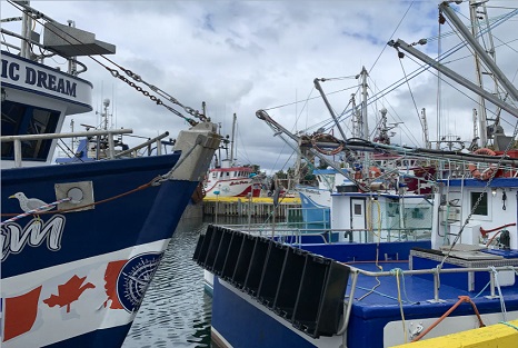 ‘We got to go fishing’: More Newfoundland crab boats set sail as FFAW ramps up demands over prices and processing