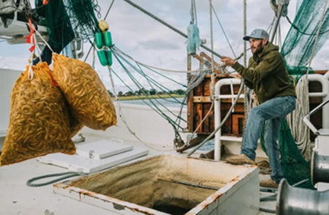 Coastal Georgia shrimpers fear loss of industry as foreign seafood crowds market