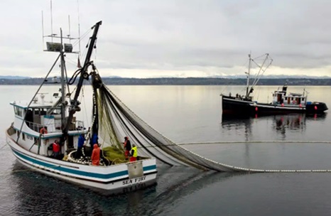 Crew School provides a reality sea trial for commercial fishing wanabees