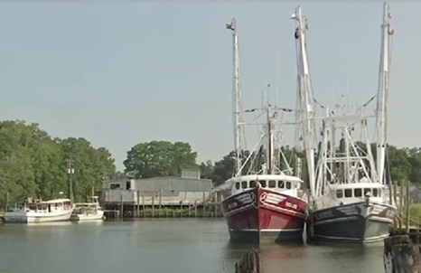 Alabama on verge of requiring sellers to say where their seafood comes from