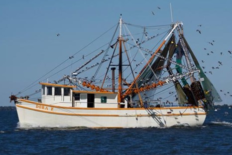 Iconic Brunswick shrimp boat sinks during Helene