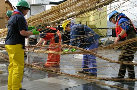 Multiple groups urge seafloor protections from pelagic trawling 