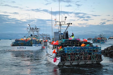 Past lobster season opener hits and misses in southwestern Nova Scotia