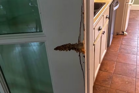 Shot fired into lobster buyer’s home as southwest N.S. season opens