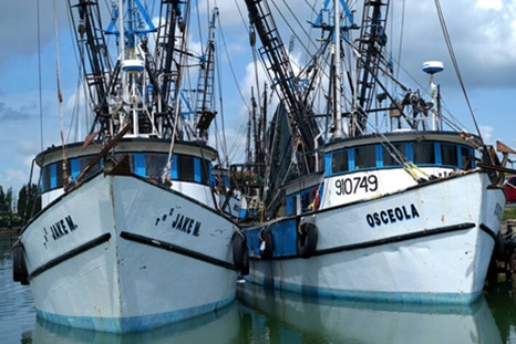 Struggling Valley shrimpers receive good news on new import measures