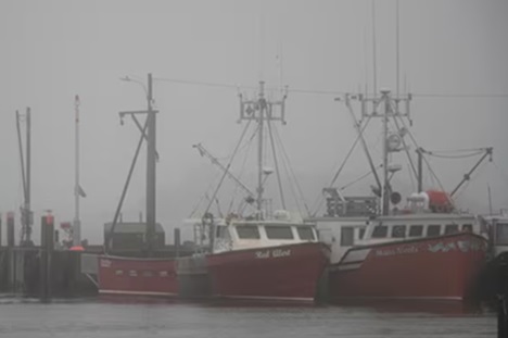 Disabled lobster licence holder wins again against DFO in court