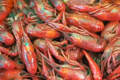 New law aims to support La. seafood industry